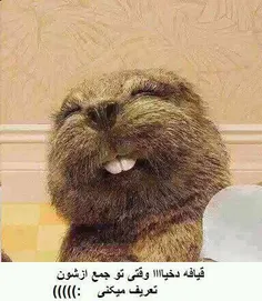 خخخخ