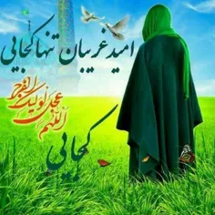 السلام علیک یا امام انس وجان 