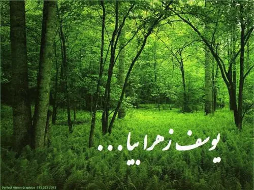 ای تویی آرام جانم در شب یلدا ، بیا