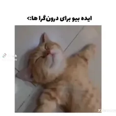 ایده بیو برای درونگرا ها ✨️🪽💓