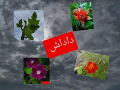 عکاسی من