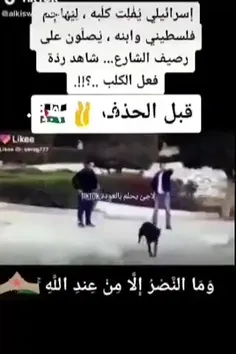 صهیونستی سگش را میفرسته برای حمله به جوان نماز گزار فلسطی