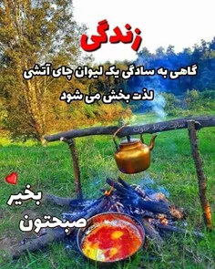 🌸تا مرغ سحر دوباره سرداد آواز