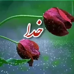 سلام صبح همگی بخیر 