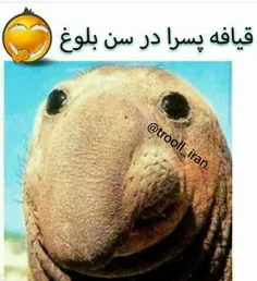 هههه