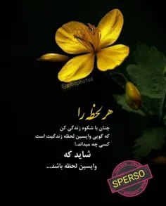 عکس نوشته sperso 41036176