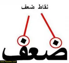 تاحالا اینجوری نخونده بودمش