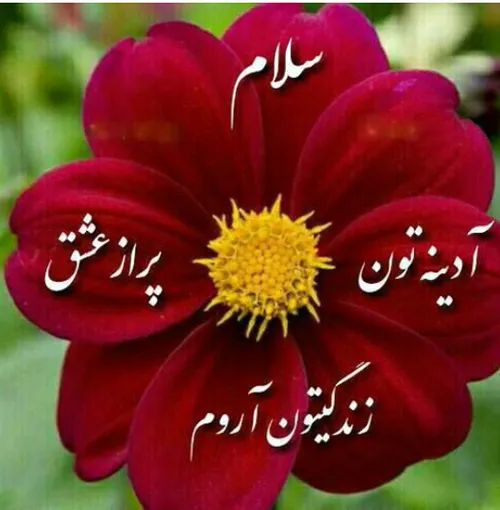 ارزومیکنم