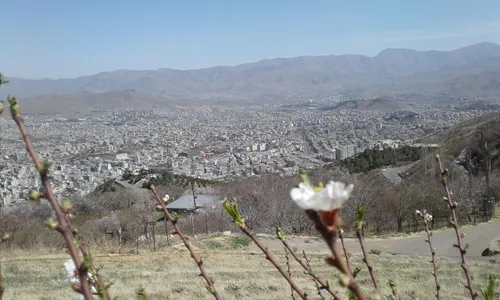 💢 بر فراز کوه های مرتفع کردستان، در مقابل گل ها و شکوفه ه