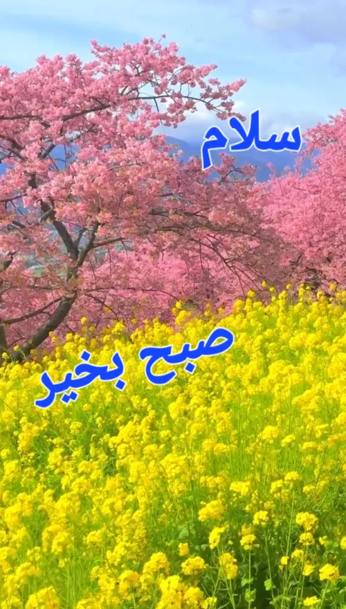 سلام 🍃🌸🍃🌸🍃😊🍃🌸🍃🌸🍃