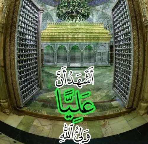 ☘️🌷☘️یا علی بن ابیطالب ادرکنی☘️🌷☘️