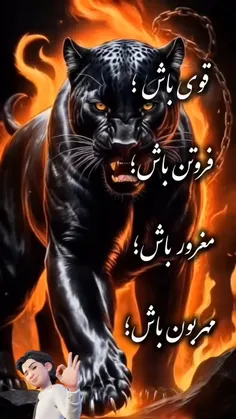 mehrshad.sam90500 73040396