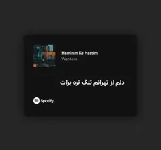 خبر مهم