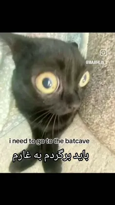 من بتمنم 😂🤩