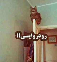 بله