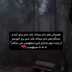 هیچوقت نمیفهمیدد و فقط وانمود میکنید..