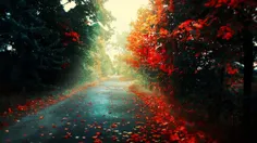 پاییز