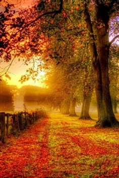 پاییز فصل رنگهافصل عاشقی و هواهای دونفره