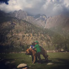 Kids play with a dog in a meadow in Sangla Valley in Hima