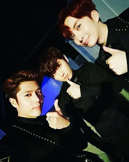 ss301 pain