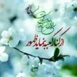 mohsen1211