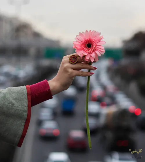 سالها گذشت تا جنس رابطه ها بشناسم.