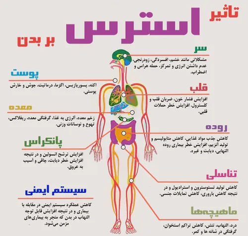 تأثیرخاموش استرس روی بدن