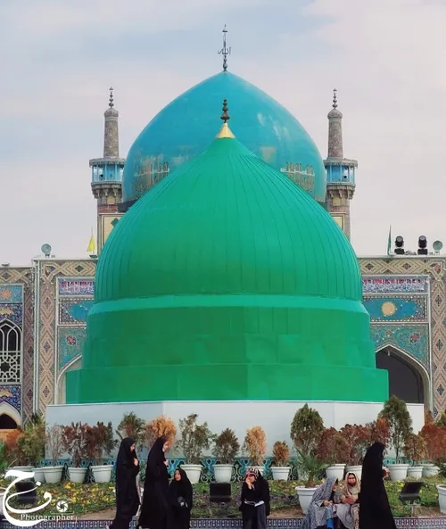 مارو به دوستان خود معرفی کنید