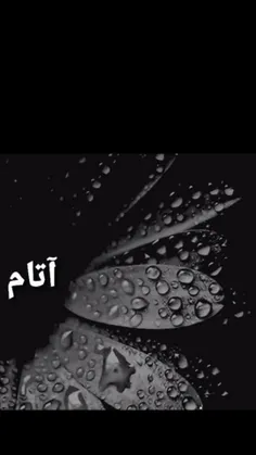 سالروز سومین میلادت در اسمانها مبارک بابای خوبم💔🖤