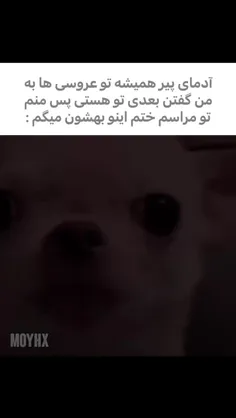 989380_8938 76280956