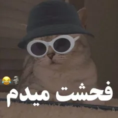 حواساتونو جمع کنید 😂