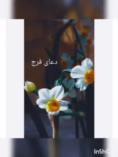 روزی امروزتون