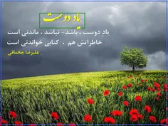 یاد دوست ( 4 )