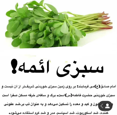 این سبزی بهش پرپین، خرفه، پیرگ