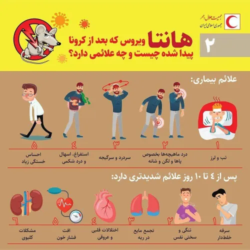 🔻هانتا ویروس که بعد از کرونا پیدا شده چیست و چه علائمی دا