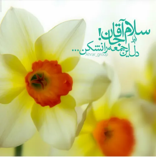 عکس نوشته oomahbanoo 29047860 - عکس ویسگون