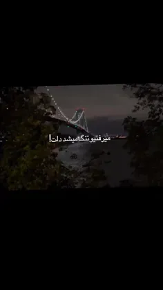 تنگ میشد دلت💔🥀