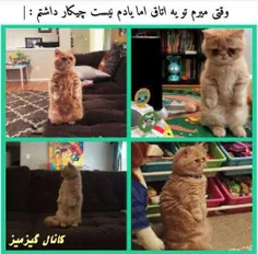 واقعا