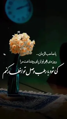 یا ابا الصالح الهمدی عج 