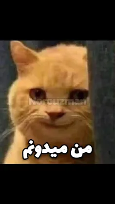 من میدونم🤣🤣🤣🤣