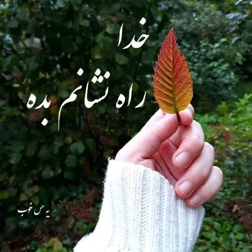 پارت نهم رمان ماه عسل 🌙🏠