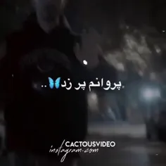 پروانه پر زد از پیله رفت 💔🥲