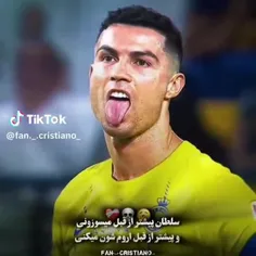 fan-cr7 70331417