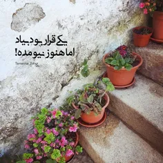 صبح به صبح