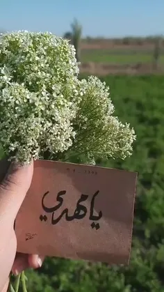 جمعه‌ها را همه از بس که شمردم بی تو