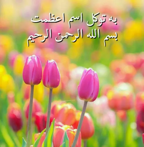 🌹 ایمن شدن ﺍﺯ ﻧﻮﺩ ﻭ ﻧﻪ ﺑﻠﺎ 🌹