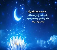 #خدا #شب_قدر #شهادت_امیرالمومنین #حدیث #عکس_نوشته #احیا #