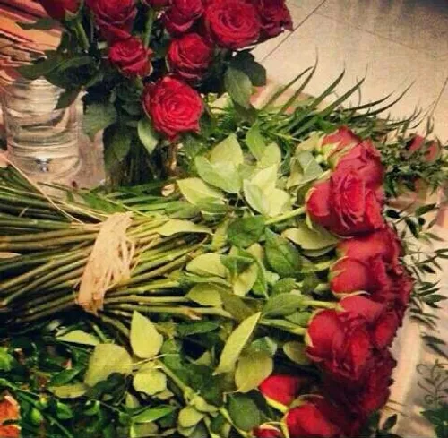 این گلهاتقدیم به همه دوستای گل ویسگونم .....من حضورخودم ر