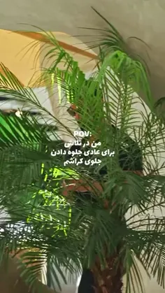 لحظات سخت رد شدن از جلوی کراش😅: