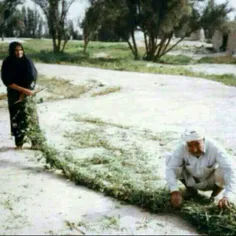 جناب خان میگه:ناخدا قشنگه...سلام ای ناخدا